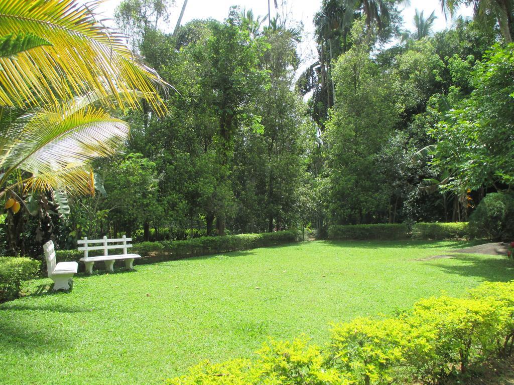 Alfred Colonial Bungalow & Spice Garden Kobbekaduwa الغرفة الصورة