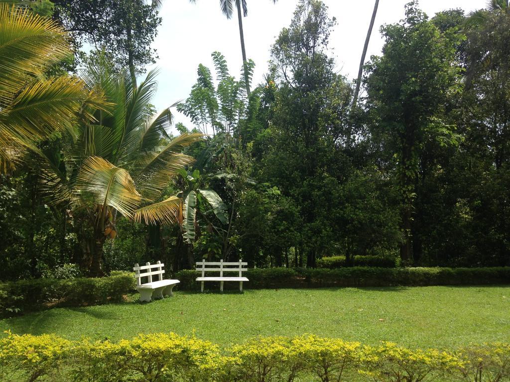 Alfred Colonial Bungalow & Spice Garden Kobbekaduwa الغرفة الصورة